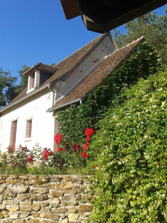 Gite De Serre Le Grand-Pressigny 외부 사진
